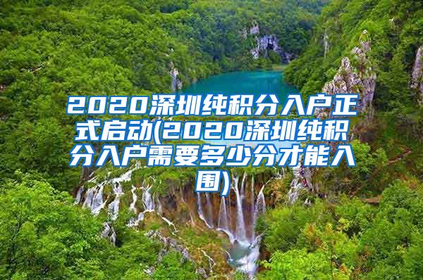 2020深圳纯积分入户正式启动(2020深圳纯积分入户需要多少分才能入围)