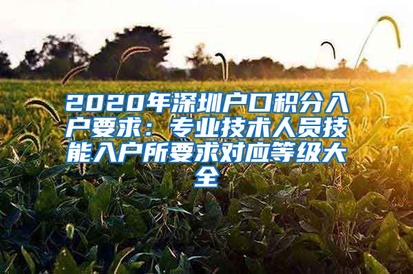 2020年深圳户口积分入户要求：专业技术人员技能入户所要求对应等级大全