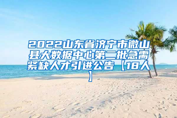 2022山东省济宁市微山县大数据中心第二批急需紧缺人才引进公告【18人】