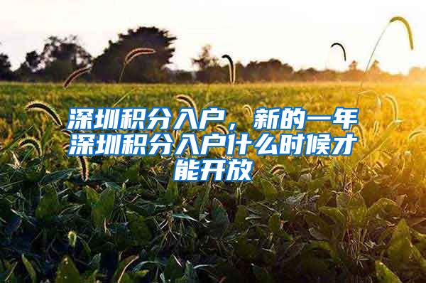 深圳积分入户，新的一年深圳积分入户什么时候才能开放