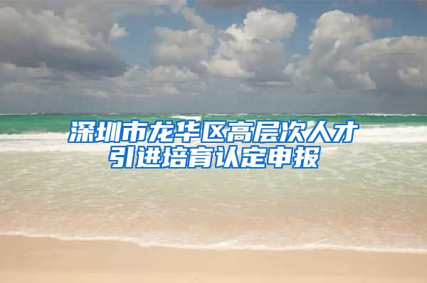 深圳市龙华区高层次人才引进培育认定申报