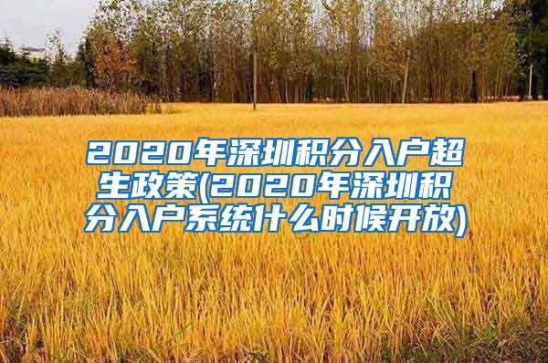 2020年深圳积分入户超生政策(2020年深圳积分入户系统什么时候开放)