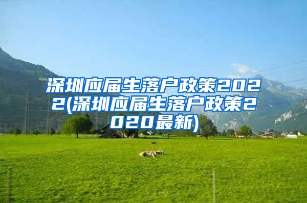 深圳应届生落户政策2022(深圳应届生落户政策2020最新)