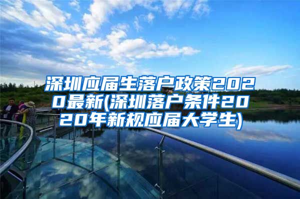 深圳应届生落户政策2020最新(深圳落户条件2020年新规应届大学生)