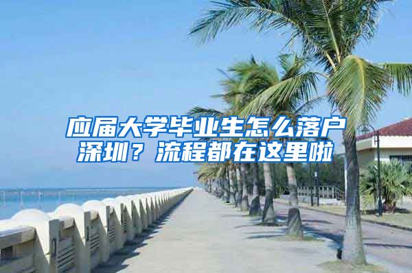 应届大学毕业生怎么落户深圳？流程都在这里啦