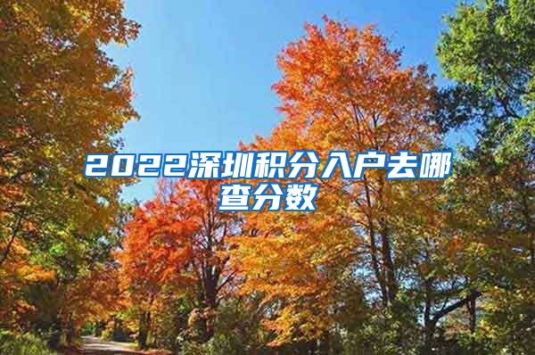 2022深圳积分入户去哪查分数