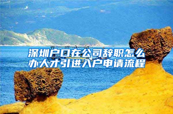 深圳户口在公司辞职怎么办人才引进入户申请流程