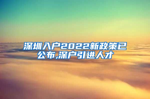 深圳入户2022新政策已公布,深户引进人才