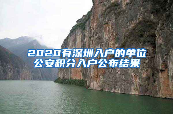 2020有深圳入户的单位公安积分入户公布结果