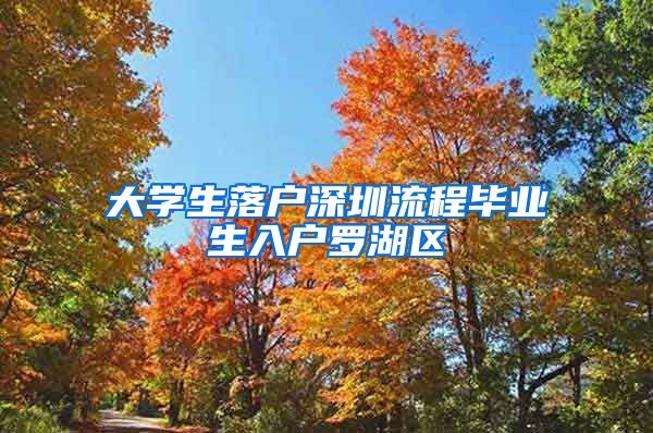 大学生落户深圳流程毕业生入户罗湖区