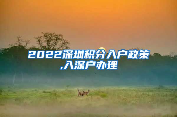 2022深圳积分入户政策,入深户办理