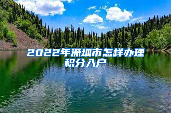 2022年深圳市怎样办理积分入户