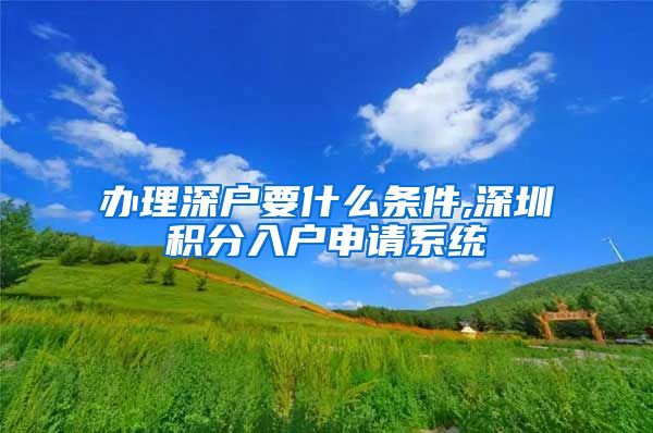 办理深户要什么条件,深圳积分入户申请系统