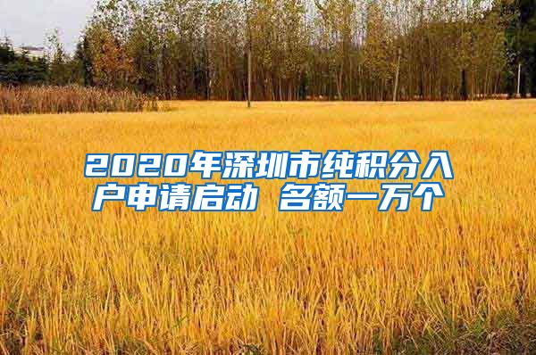 2020年深圳市纯积分入户申请启动 名额一万个