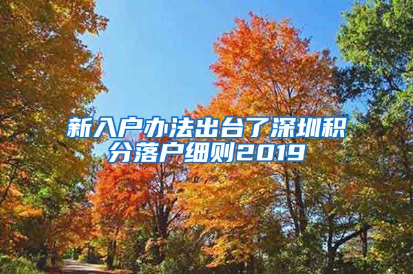 新入户办法出台了深圳积分落户细则2019