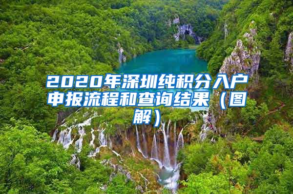 2020年深圳纯积分入户申报流程和查询结果（图解）