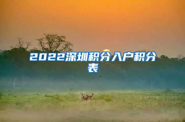 2022深圳积分入户积分表