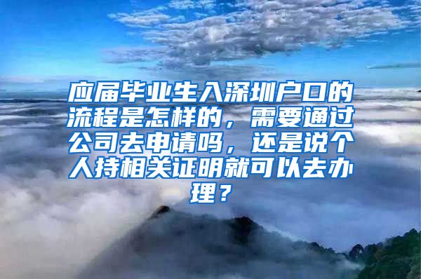 应届毕业生入深圳户口的流程是怎样的，需要通过公司去申请吗，还是说个人持相关证明就可以去办理？