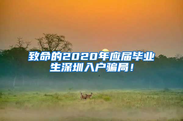 致命的2020年应届毕业生深圳入户骗局！