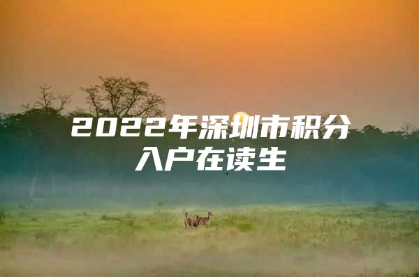 2022年深圳市积分入户在读生