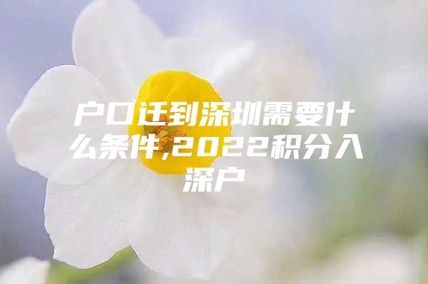 户口迁到深圳需要什么条件,2022积分入深户