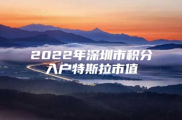 2022年深圳市积分入户特斯拉市值