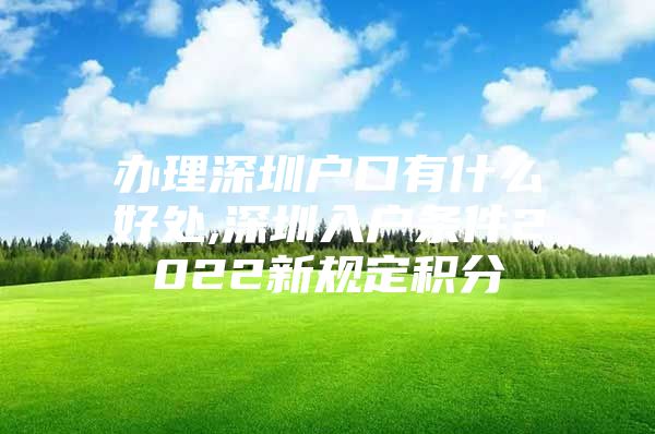 办理深圳户口有什么好处,深圳入户条件2022新规定积分