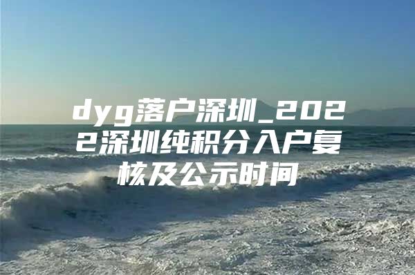 dyg落户深圳_2022深圳纯积分入户复核及公示时间