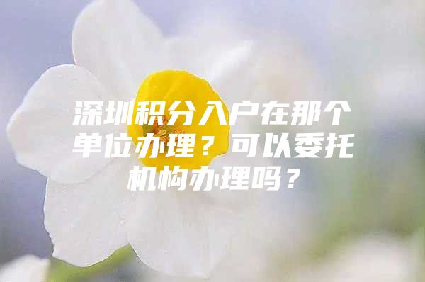 深圳积分入户在那个单位办理？可以委托机构办理吗？