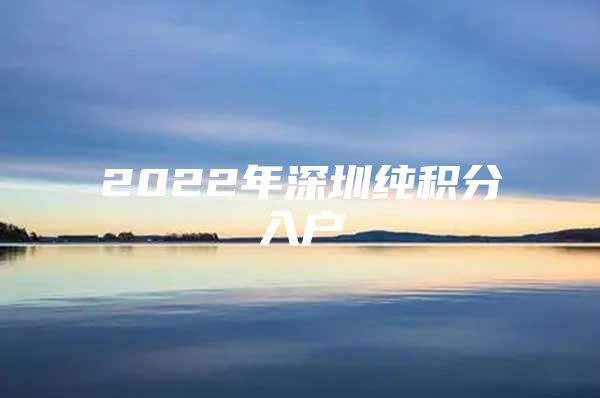 2022年深圳纯积分入户