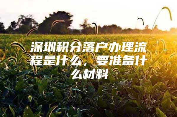 深圳积分落户办理流程是什么，要准备什么材料