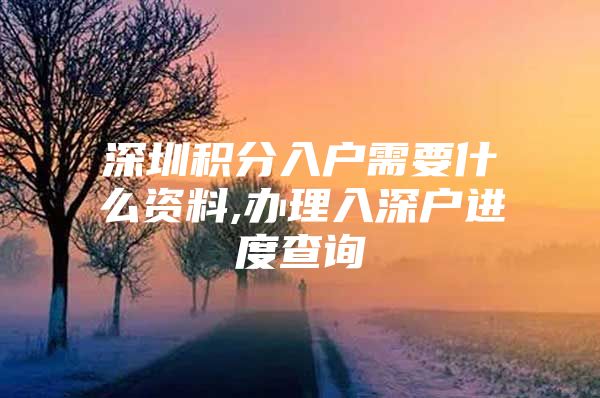 深圳积分入户需要什么资料,办理入深户进度查询