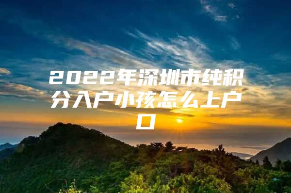 2022年深圳市纯积分入户小孩怎么上户口