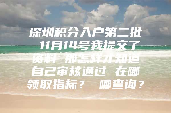 深圳积分入户第二批 11月14号我提交了资料 那怎样才知道自己审核通过 在哪领取指标？ 哪查询？