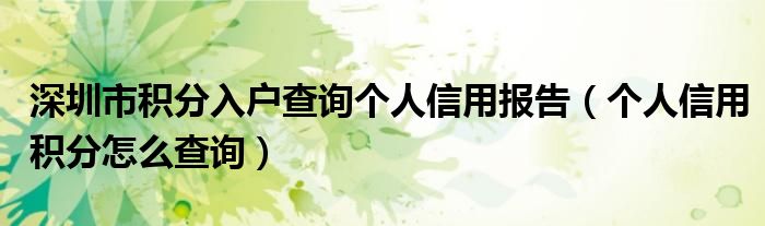 深圳市积分入户查询个人信用报告（个人信用积分怎么查询）