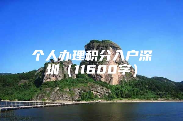 个人办理积分入户深圳（11600字）