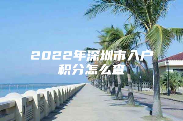 2022年深圳市入户积分怎么查