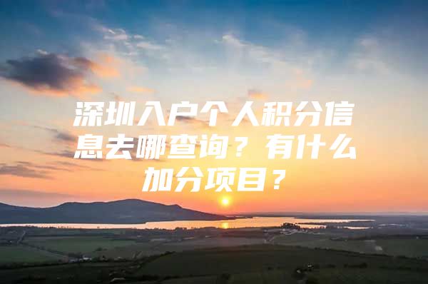 深圳入户个人积分信息去哪查询？有什么加分项目？