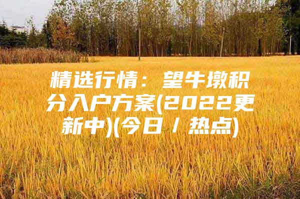 精选行情：望牛墩积分入户方案(2022更新中)(今日／热点)