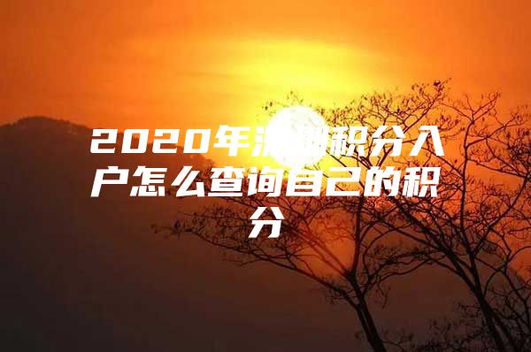 2020年深圳积分入户怎么查询自己的积分