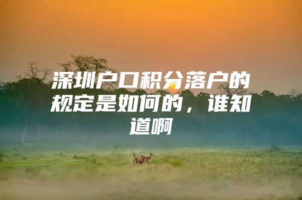 深圳户口积分落户的规定是如何的，谁知道啊